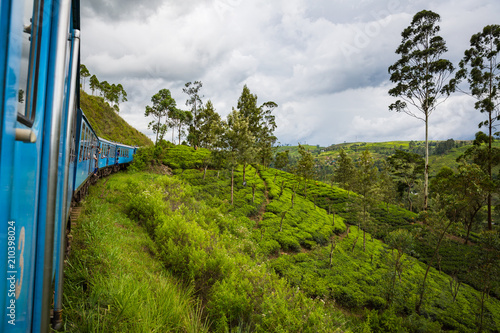 Wallpaper Mural NUWARA ELIYA, SRI LANKA-APRIL 8: Old train on April 8, 2018 in Nuwara Eliya, Sri Lanka. Train on the tea plantations Torontodigital.ca