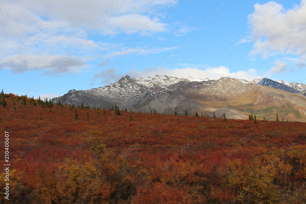 Denali Nationalpark im Herbst