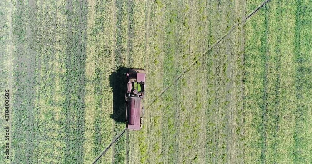 Aerial: combine harvester goes to the field. Farm, agriculture. Aerial: combine harvester goes to the field. Farm, agriculture.