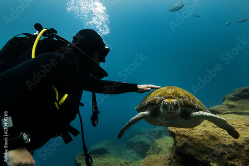 Young diver adept touching the big turtle.