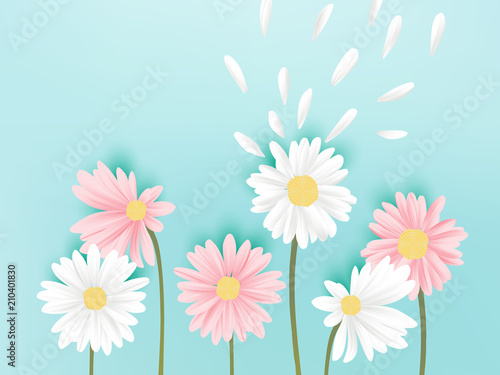 Minimalist pastel white and pink daisy flowers with flying petals on blue background