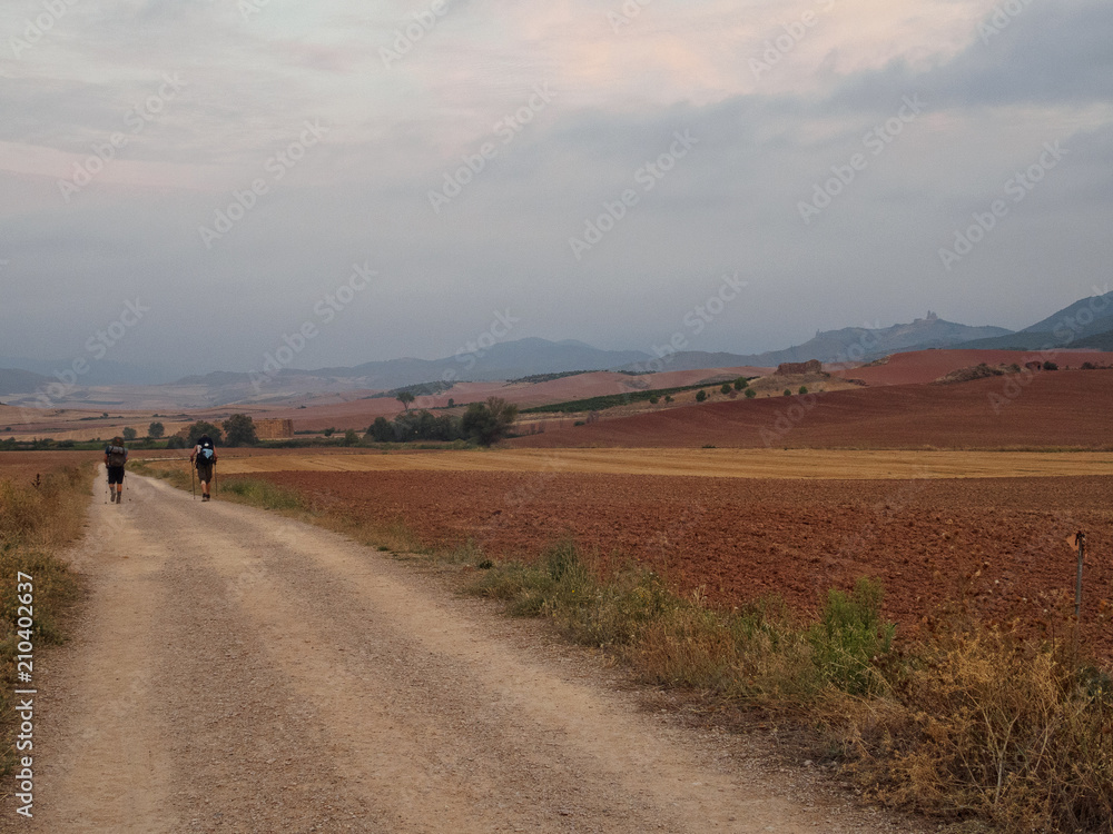 Obraz premium Pilgrims on the road at dawn - Villamayor de Monjardin, Navarre, Spain