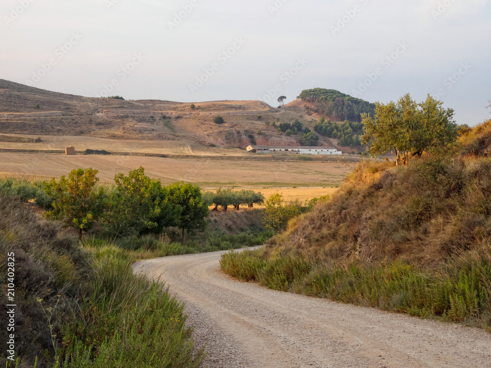 Curving dirt road on the Camino - Los Arcos, Navarre, Spain Curving dirt road on the Camino - Los Arcos, Navarre, Spain