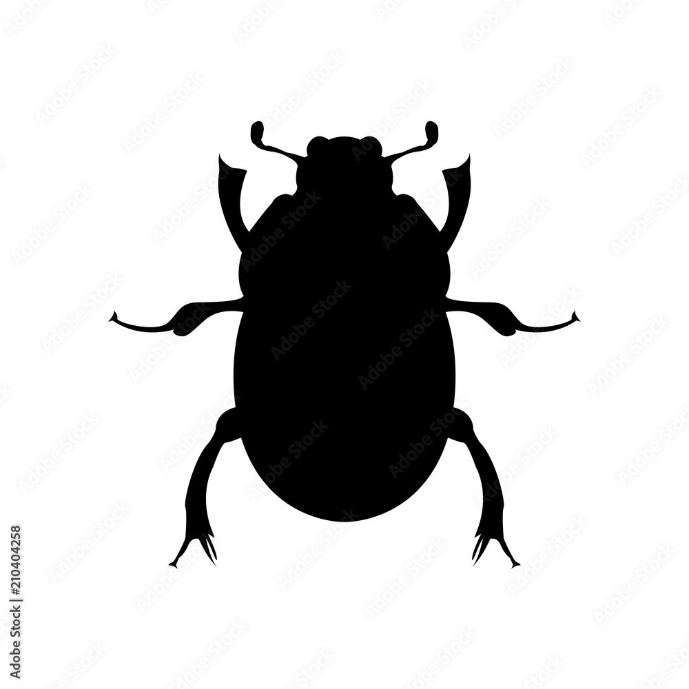 Beetle icon . Beetle black image on white background, top view