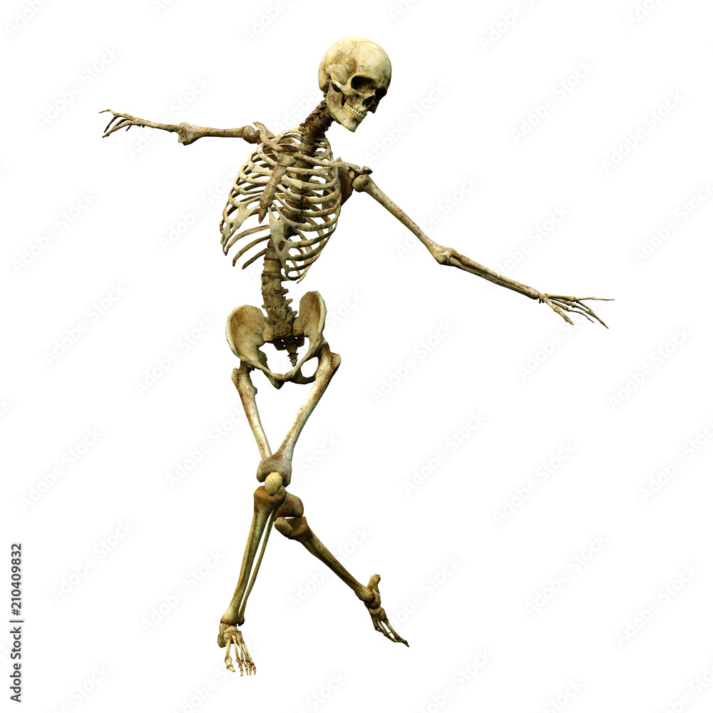 3D Rendering Human Skeleton on White