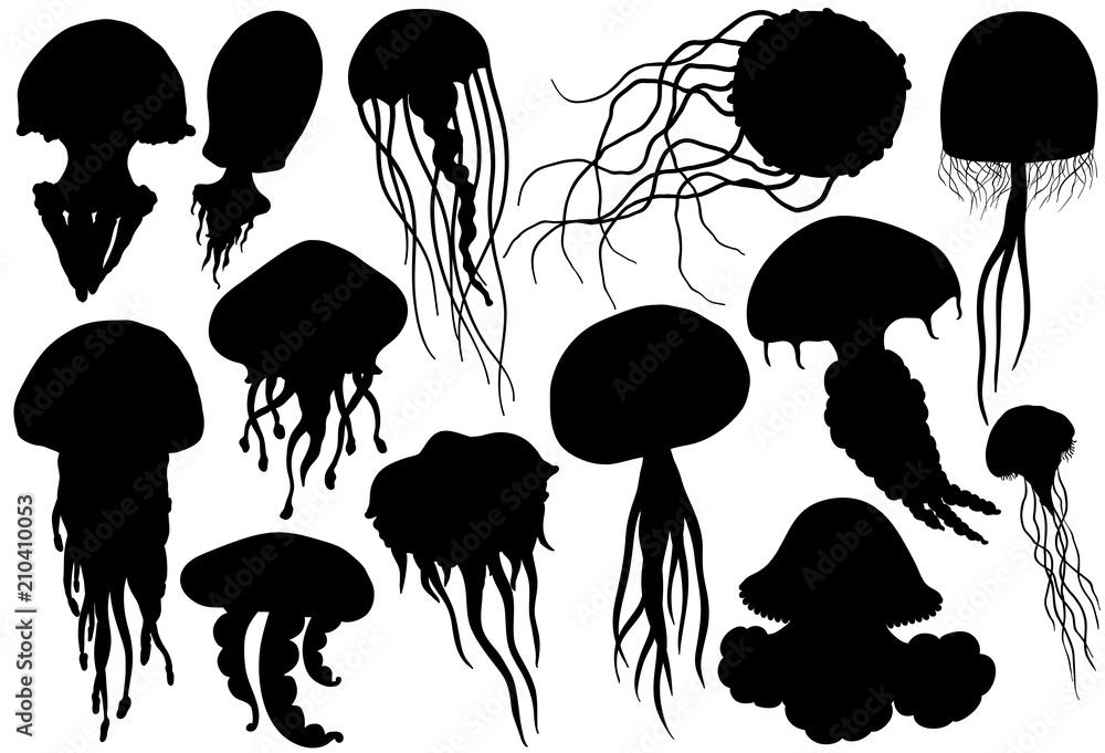 Fototapeta premium Jellyfish silhouettes set. Sea collection.