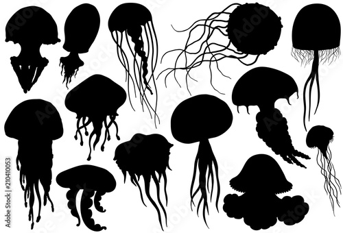 Jellyfish silhouettes set. Sea collection. photo