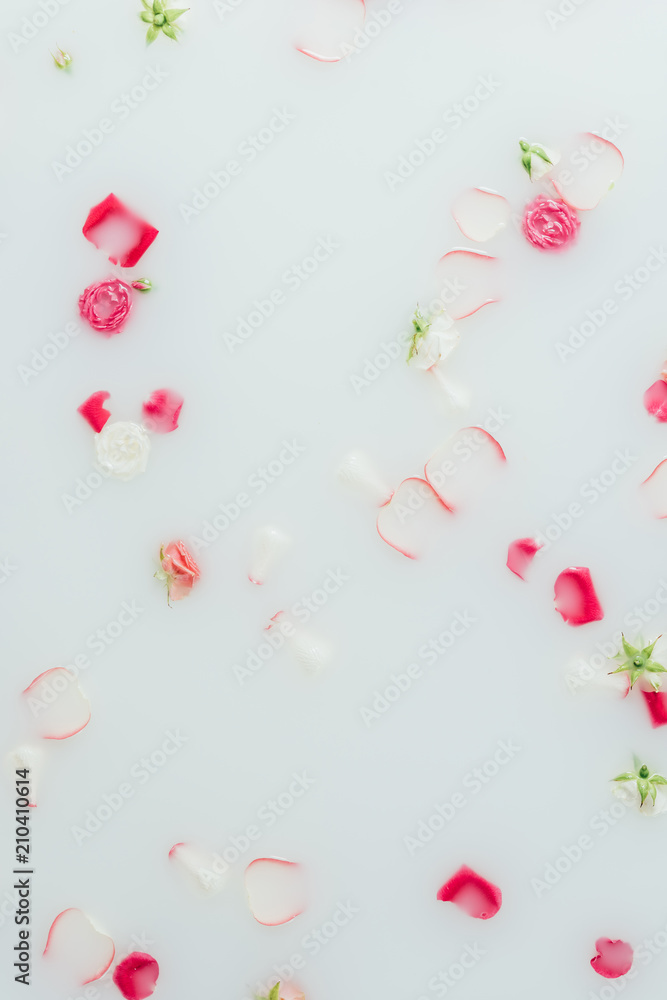 top view of beautiful pink roses and petals in milk background top view of beautiful pink roses and petals in milk background