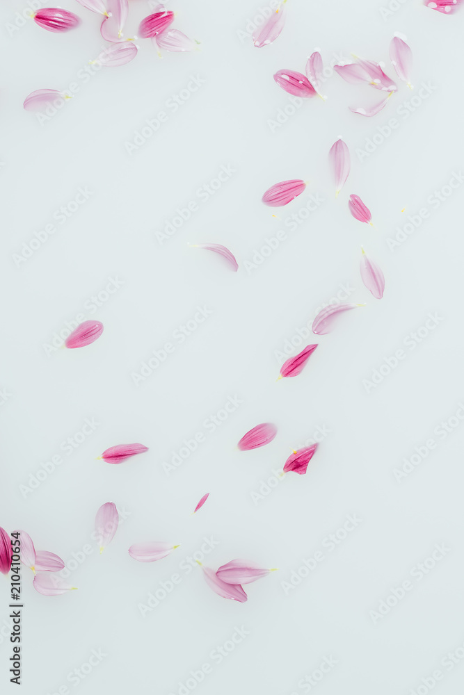 top view of arranged pink and lilac flower petals in milk