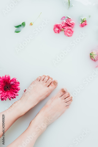 partial view of female feet and beautiful colorful flowers in milk