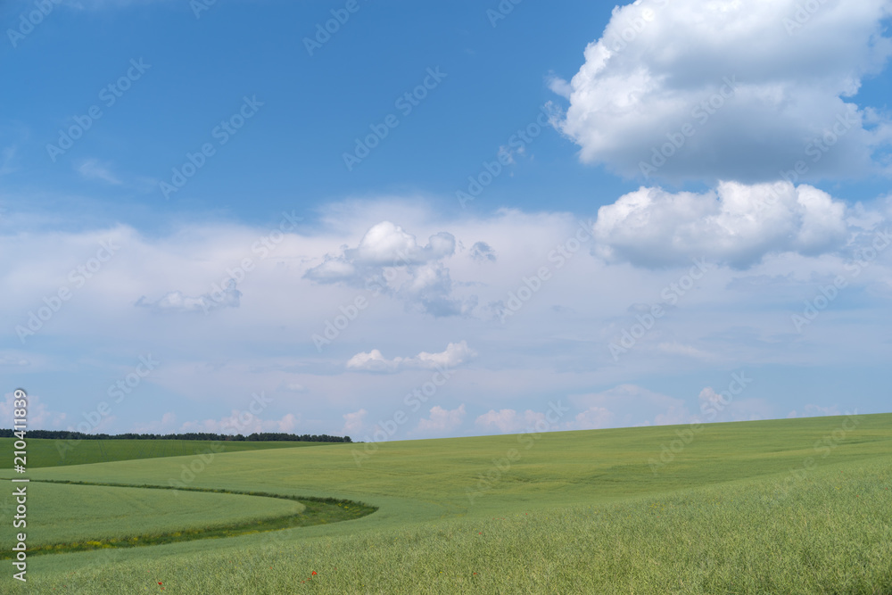 Podolia region, Ukraine. Landscape with dramatic clouds over agricultural field