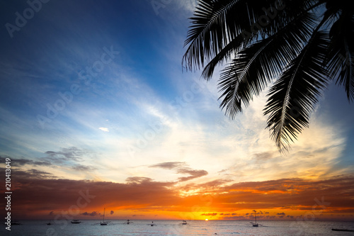 beach background at sunset with palm tree © luckybusiness
