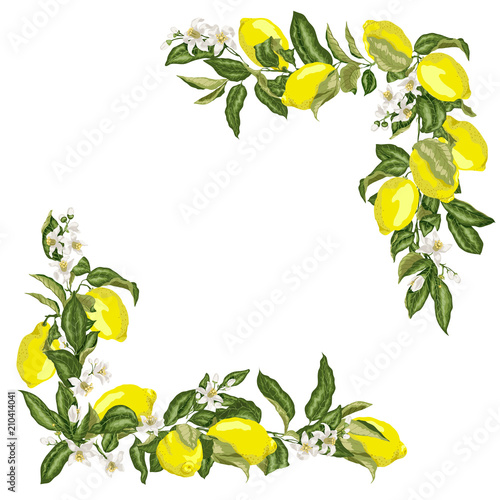 Set of corner square frame template with citrus lemon flower and fruits