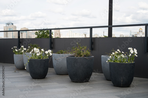 Modern flower beds in an exterior. Garden with decorative grass, concrete and stone details. Contemporary design.