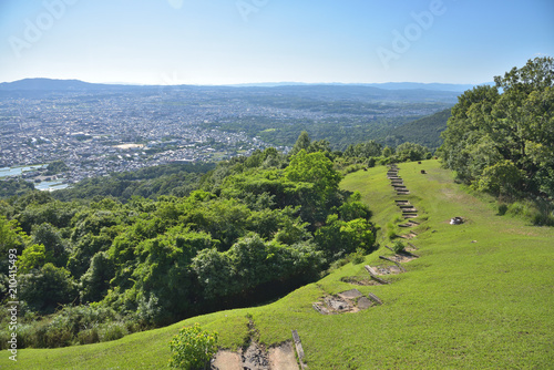 Obraz na plátně View from a capital letter in Nara