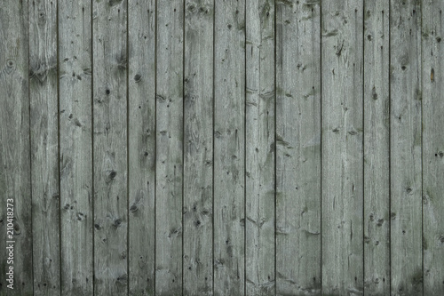 old wooden green texture background, close up