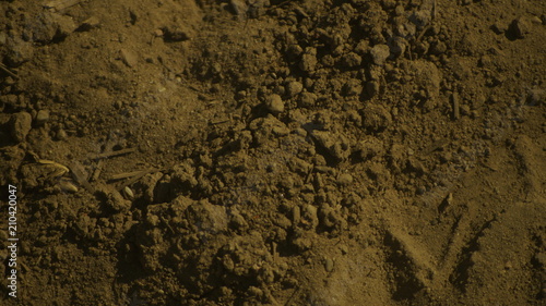 Tapety artystyczne SAND