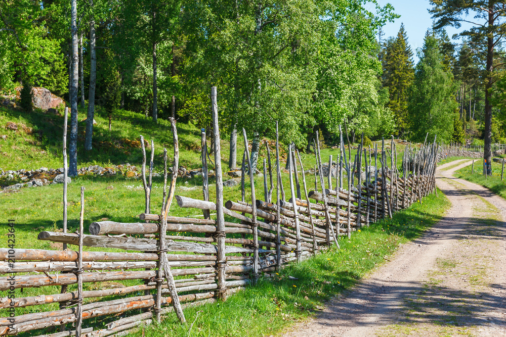 Meadow landscape with a dirt road with a wooden fence Meadow landscape with a dirt road with a wooden fence