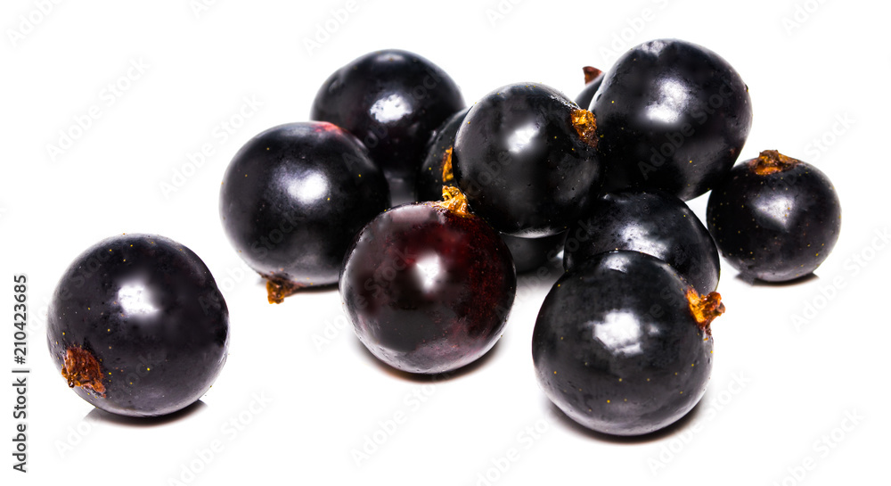 black currant isolated on white background. With clipping path black currant isolated on white background. With clipping path