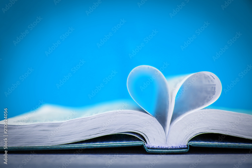 Bible and day in love Bible and day in love