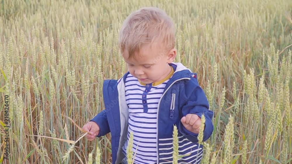 Happy young boy standing on field with wheat at sunny day. concept of Small farmer. slow motion Happy young boy standing on field with wheat at sunny day. concept of Small farmer. slow motion