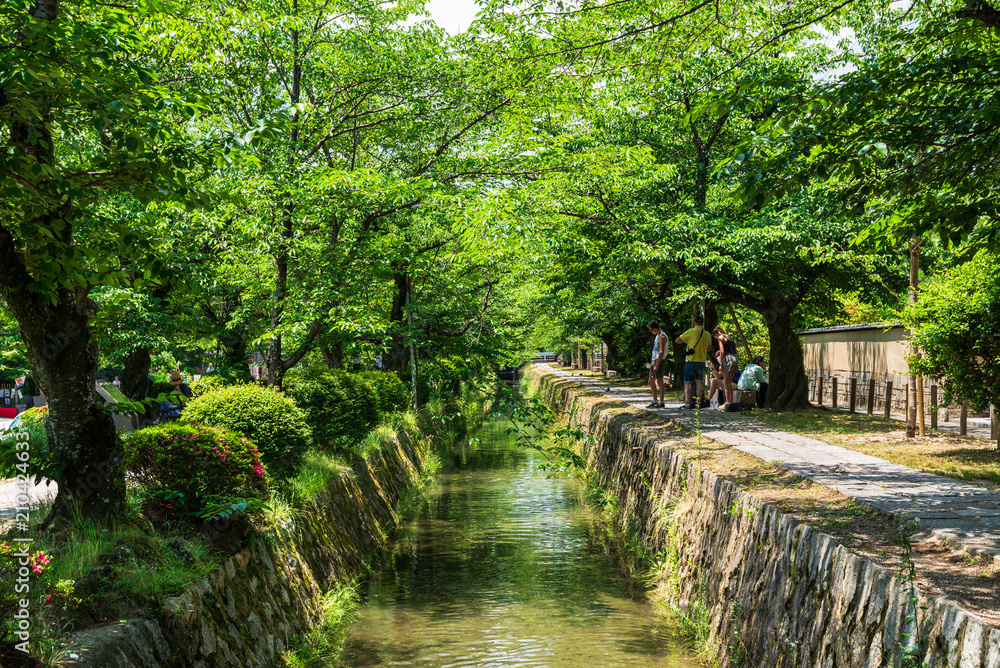 京都　哲学の道