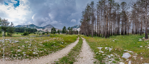 landscape, sky, road, nature, grass, field, tree, green, summer, meadow, forest, country, rural, blue, panorama, clouds, countryside, montenegro, lovcen,  park, cloud, skyline, mountains, view