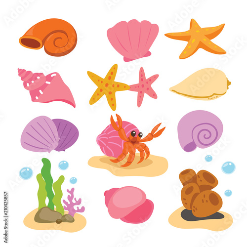 shell vector collection design