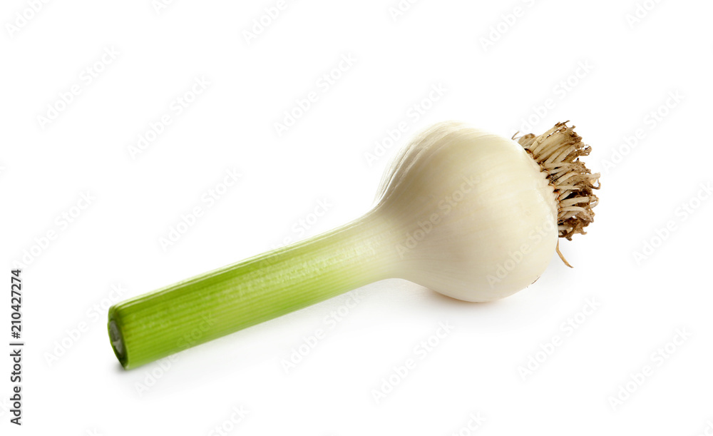 Fresh ripe garlic bulb on white background Fresh ripe garlic bulb on white background