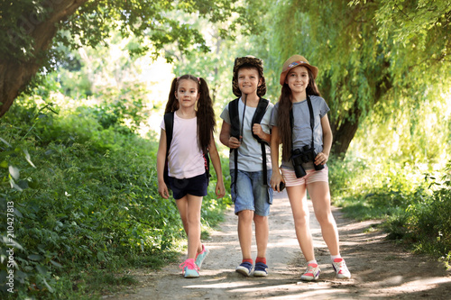 Fototapeta Naklejka Na Ścianę i Meble -  Little children with backpacks on path in wilderness. Summer camp