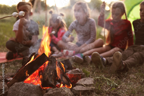 Little children frying marshmallows on bonfire. Summer camp photo