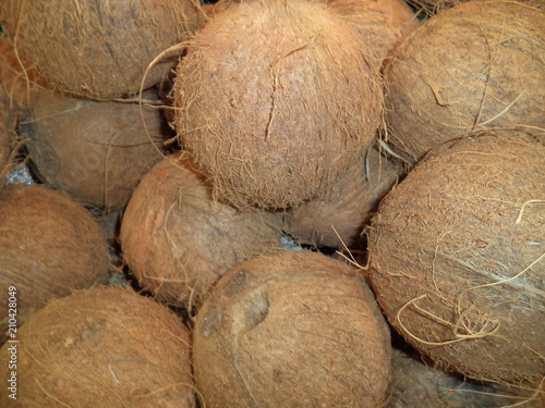 fresh mature coconuts