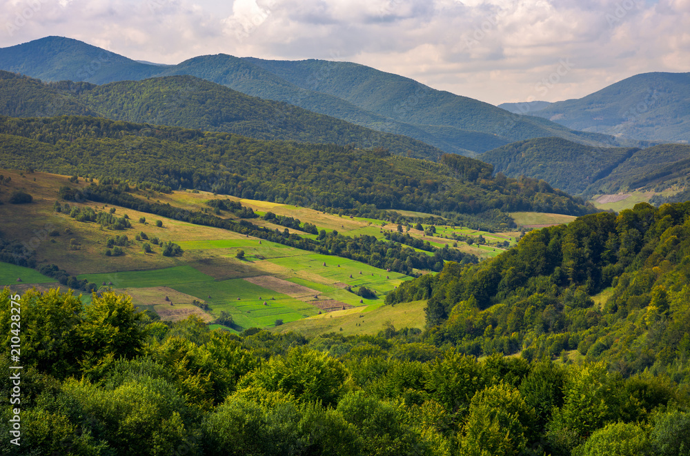 agricultural fields on grassy hills in mountains. beautiful rural landscape of Carpathians agricultural fields on grassy hills in mountains. beautiful rural landscape of Carpathians
