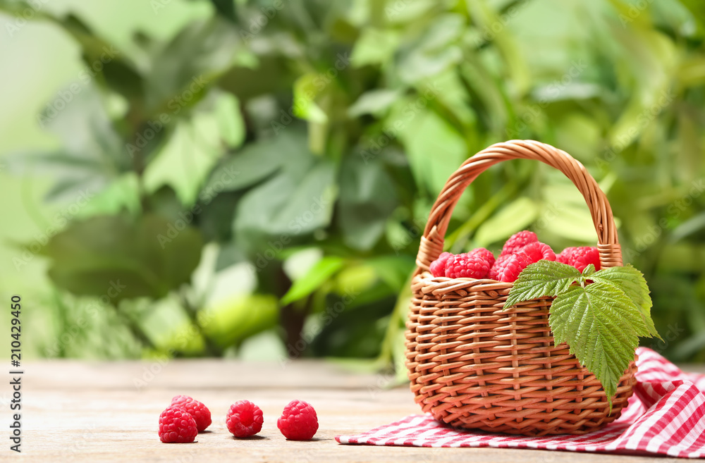 Wicker basket with ripe aromatic raspberries on table against blurred background Wicker basket with ripe aromatic raspberries on table against blurred background
