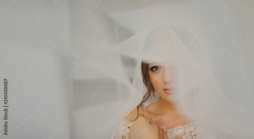 portrait of beautiful, sexy, elegant, brunette bride looks and posing under the veil portrait of beautiful, sexy, elegant, brunette bride looks and posing under the veil