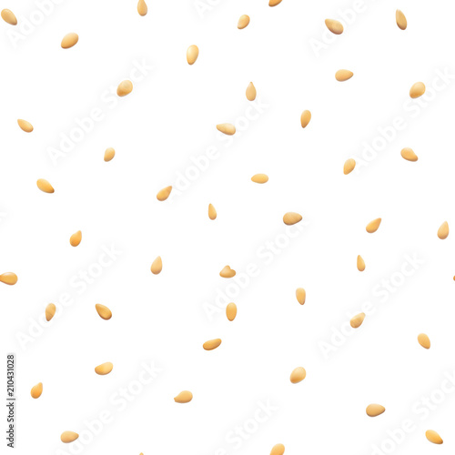 Sesame seeds isolated seamless photo