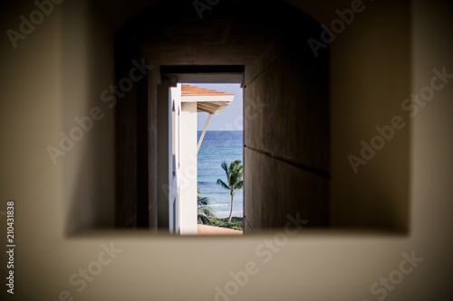 View of palm tree and ocean through window. 