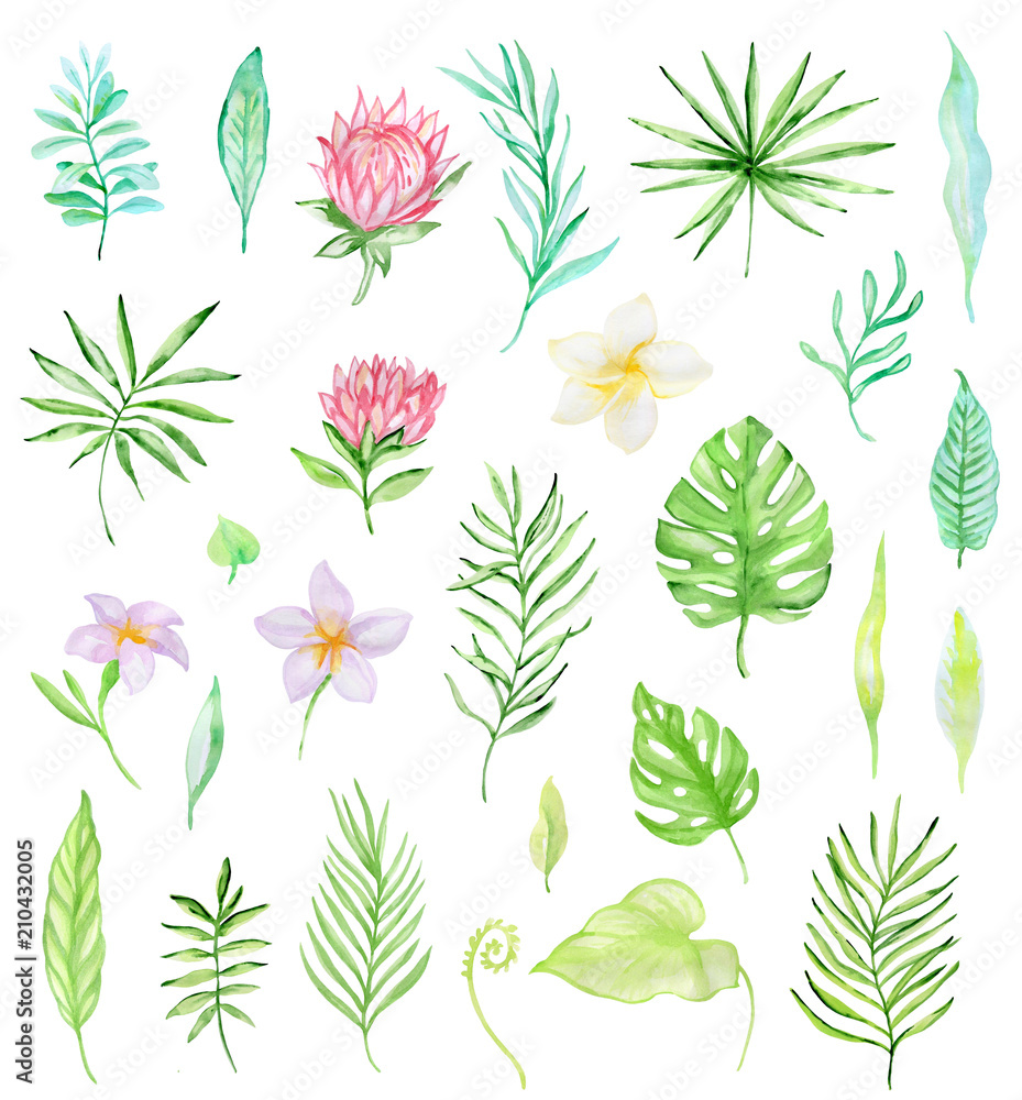 Watercolor set of tropical flowers