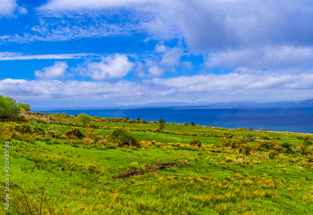Fototapeta premium Beautiful nature and greens at Dingle Peninsula Ireland