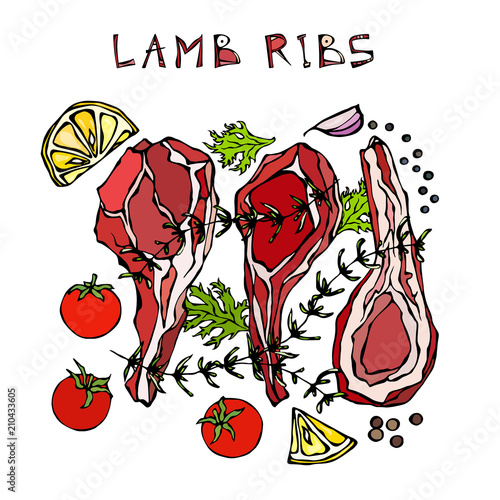 Lamb Ribs Chops with Herbs, Lemon, Tomato, Parsley, Thyme, Pepper. Meat Guide for Butcher Shop or Steak House Restaurant Menu. Hand Drawn Illustration. Doodle Style.