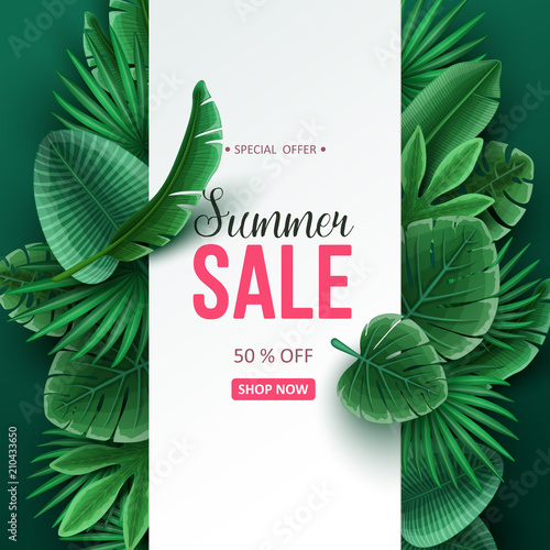 Beautiful summer sale background with palm leaves. Vector illustration.