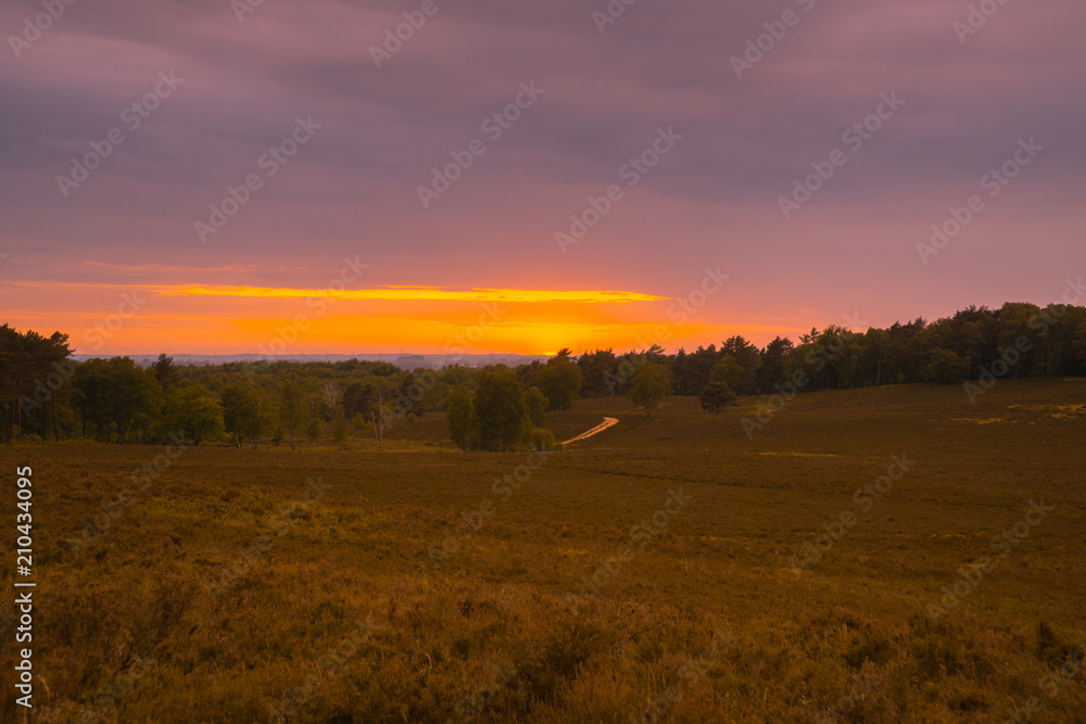 Heide Landschaft