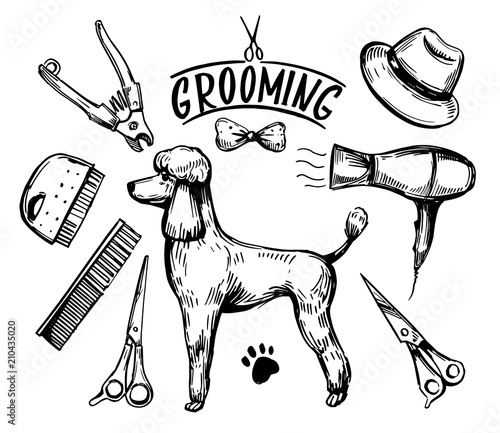 Dog grooming set. Hand drawn vector