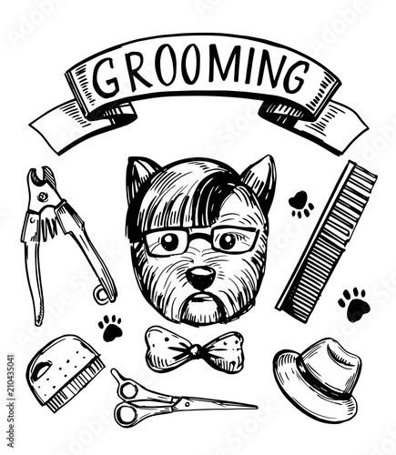 Dog grooming set. Hand drawn vector