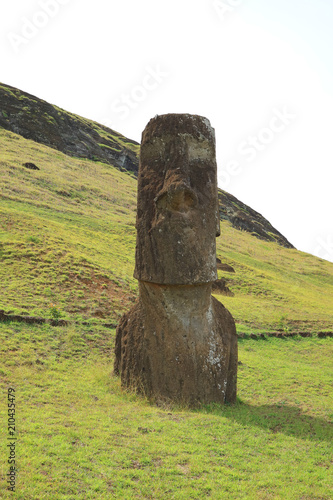 One of many abandoned huge Moai statues on the slope of Rano Raraku volcano, Easter Island of Chile 
