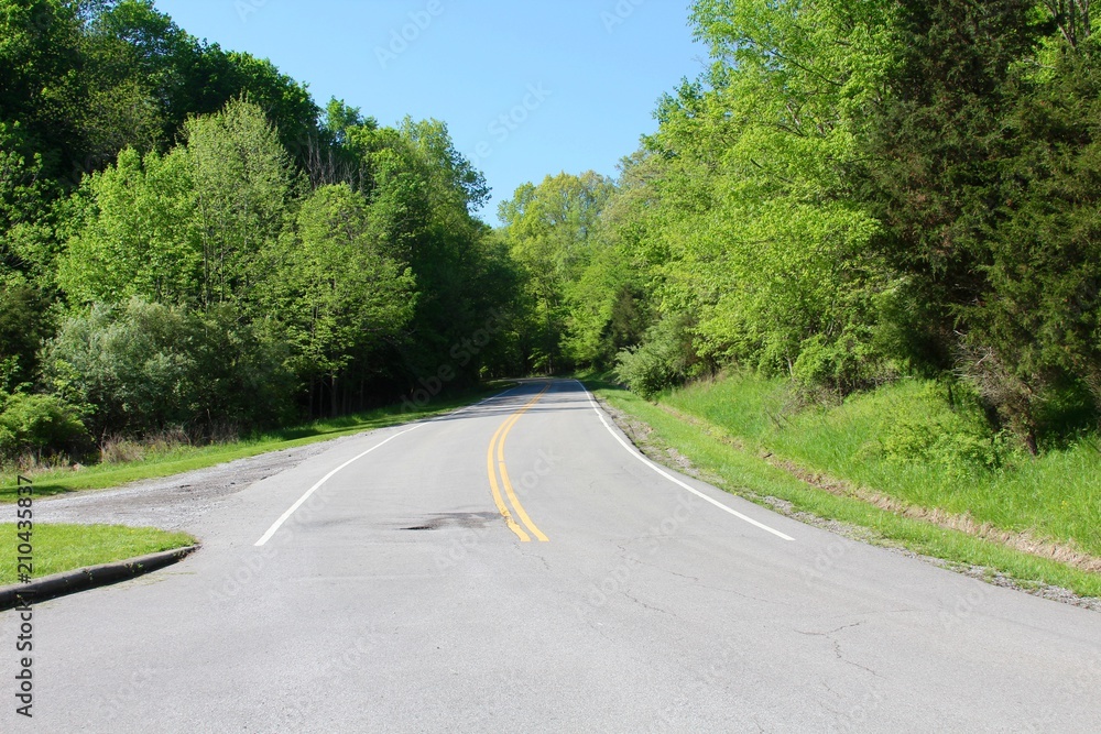 The empty highway road in to forest around the bend. The empty highway road in to forest around the bend.