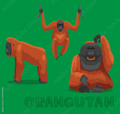 Monkey Orangutan Cartoon Vector Illustration