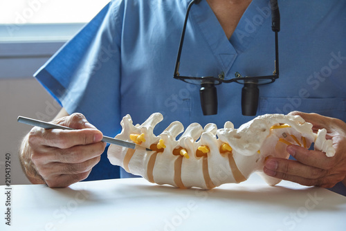 фотографія A neurosurgeon pointing at lumbar vertebra model