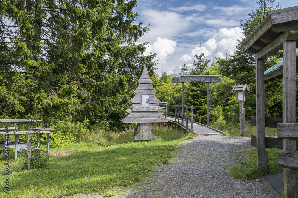 Fototapeta premium Kyrill Pfad 2017 Eingang mit Informationstafeln und Rastplatz Schanze Schellenberg Sauerland NRW Deutschland