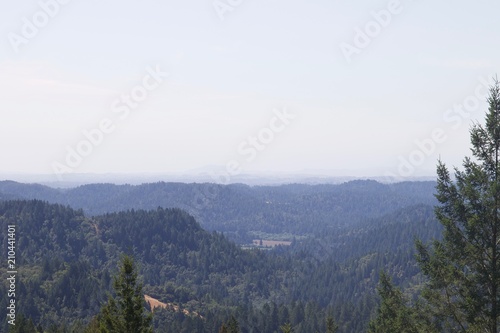 Armstrong Redwoods State Natural Reserve, California - to preserve 805 acres of coast redwoods (Sequoia sempervirens). The reserve is located in Sonoma County, Guerneville.armstrong,redwood,nature,cal